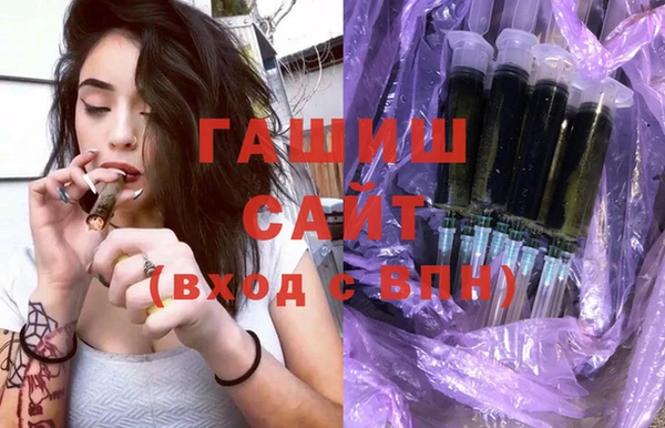 индика Волоколамск