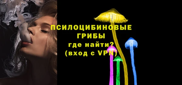 спиды Володарск
