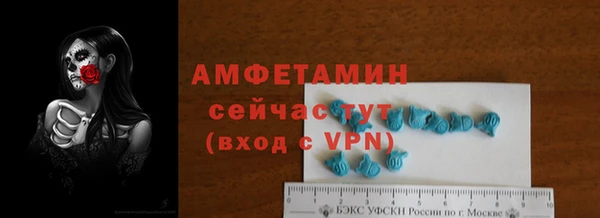 индика Волоколамск