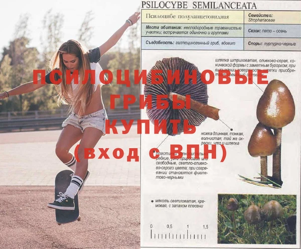 кокаин премиум Вязьма
