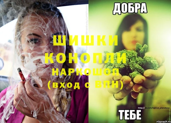 индика Волоколамск