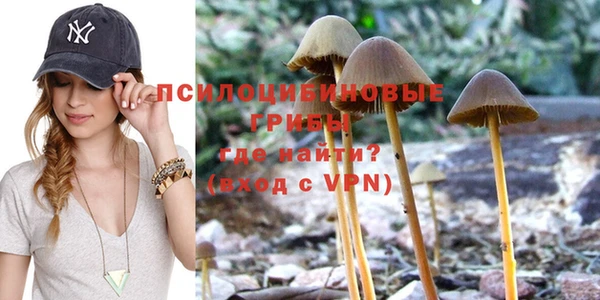 скорость Вяземский