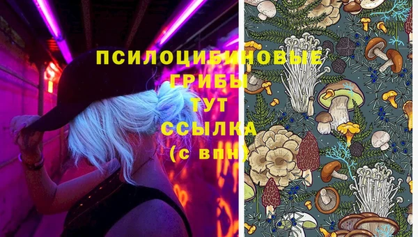 индика Волоколамск