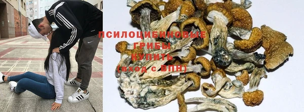 спиды Вязники