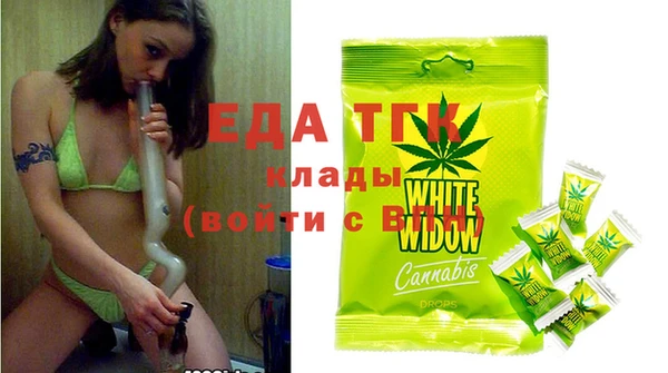 индика Волоколамск